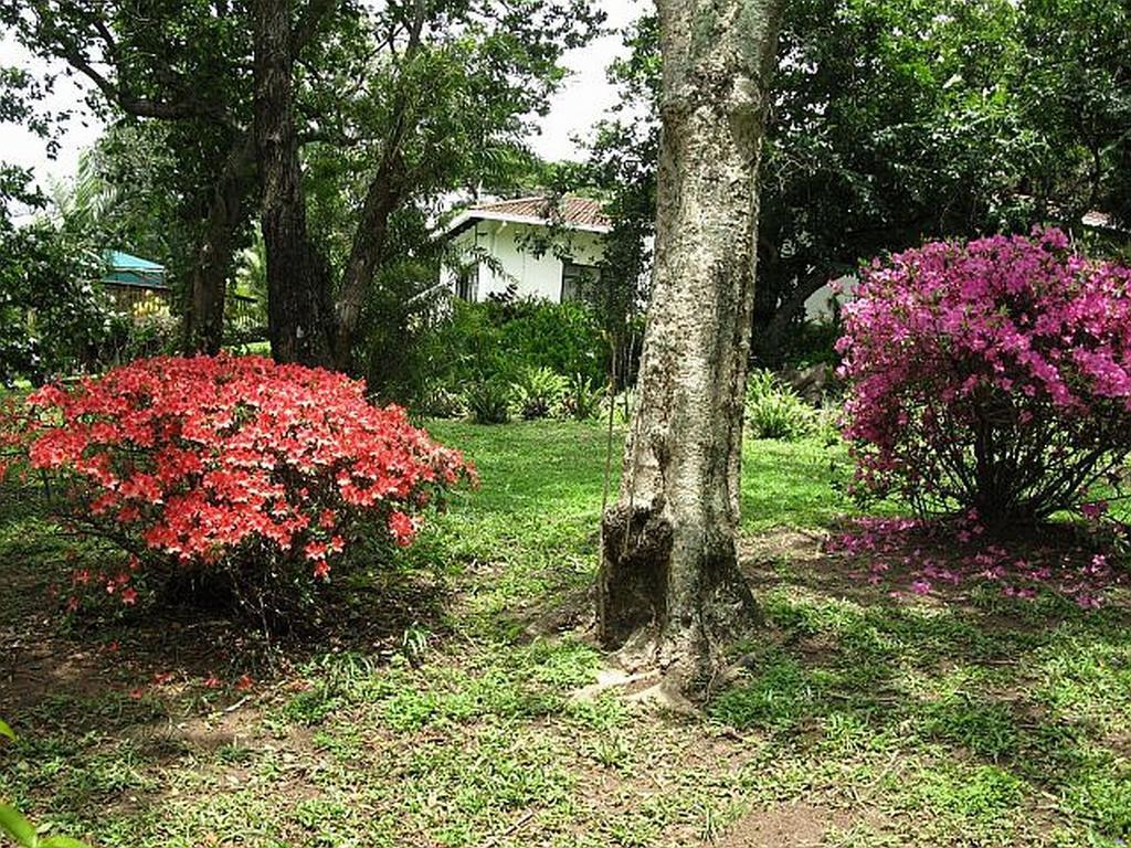 Mdoni House Guest Lodge Port Shepstone Exterior photo